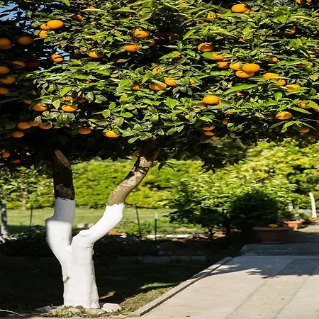 Paradise Village 아파트호텔 3*
