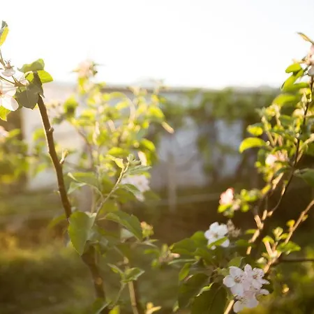 Paradise Village شقة فندقية روذا