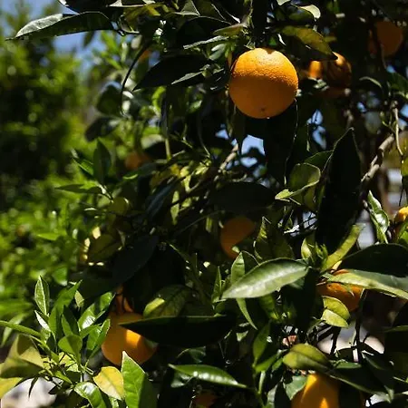 Lejlighedshotel Paradise Village