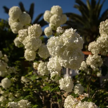 Paradise Village Lejlighedshotel 3*