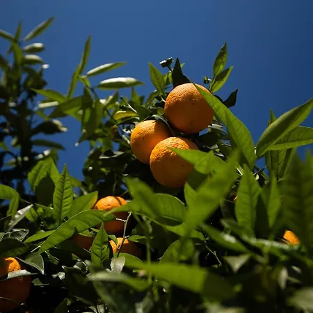 Paradise Village Aparthotel 3*