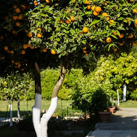 Paradise Village 3* Roda (Corfu)