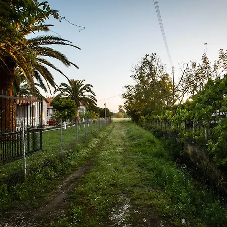 Paradise Village Roda (Corfu)